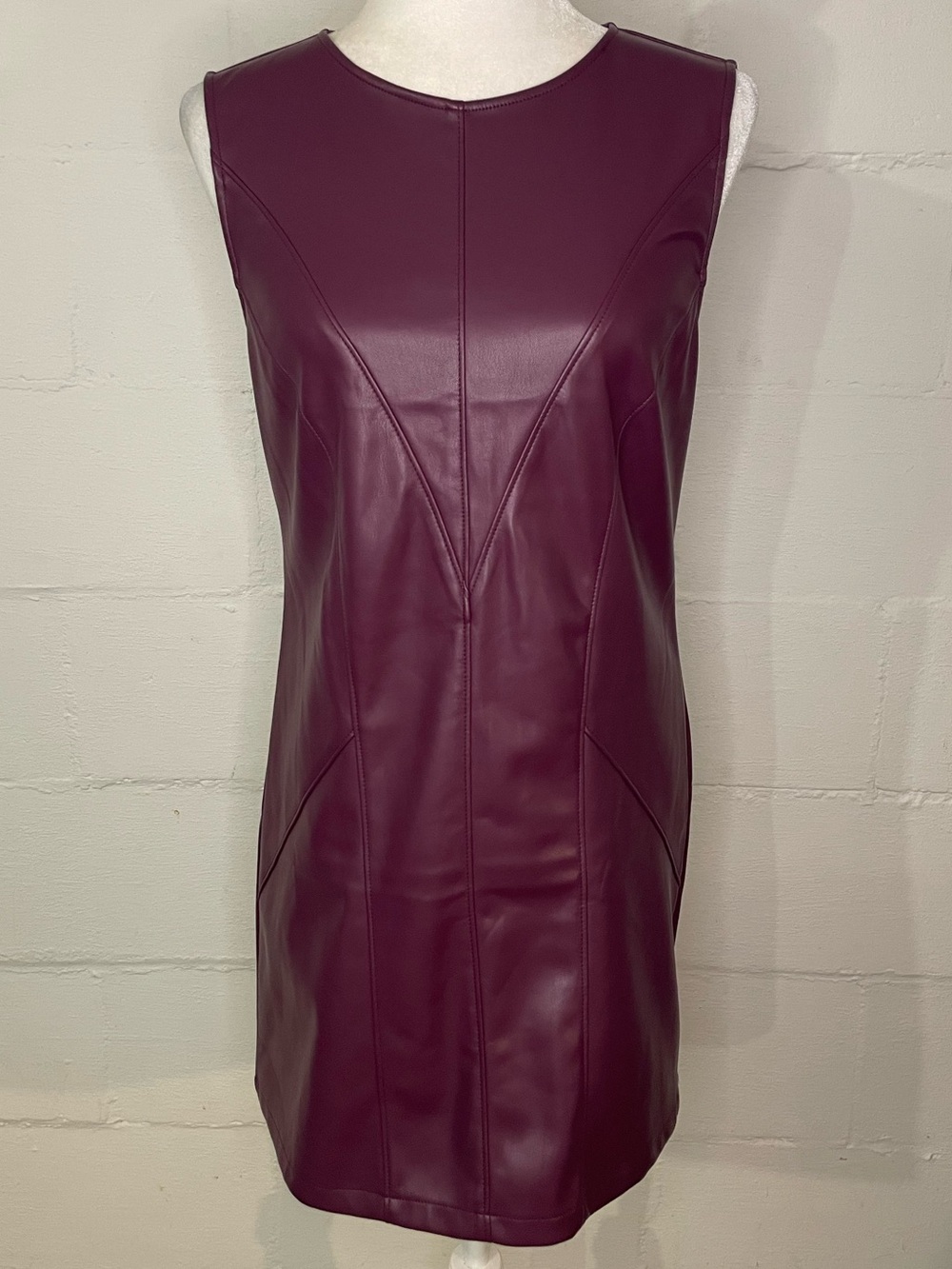 Sleeveless Faux Leather Mini Dress in Plum